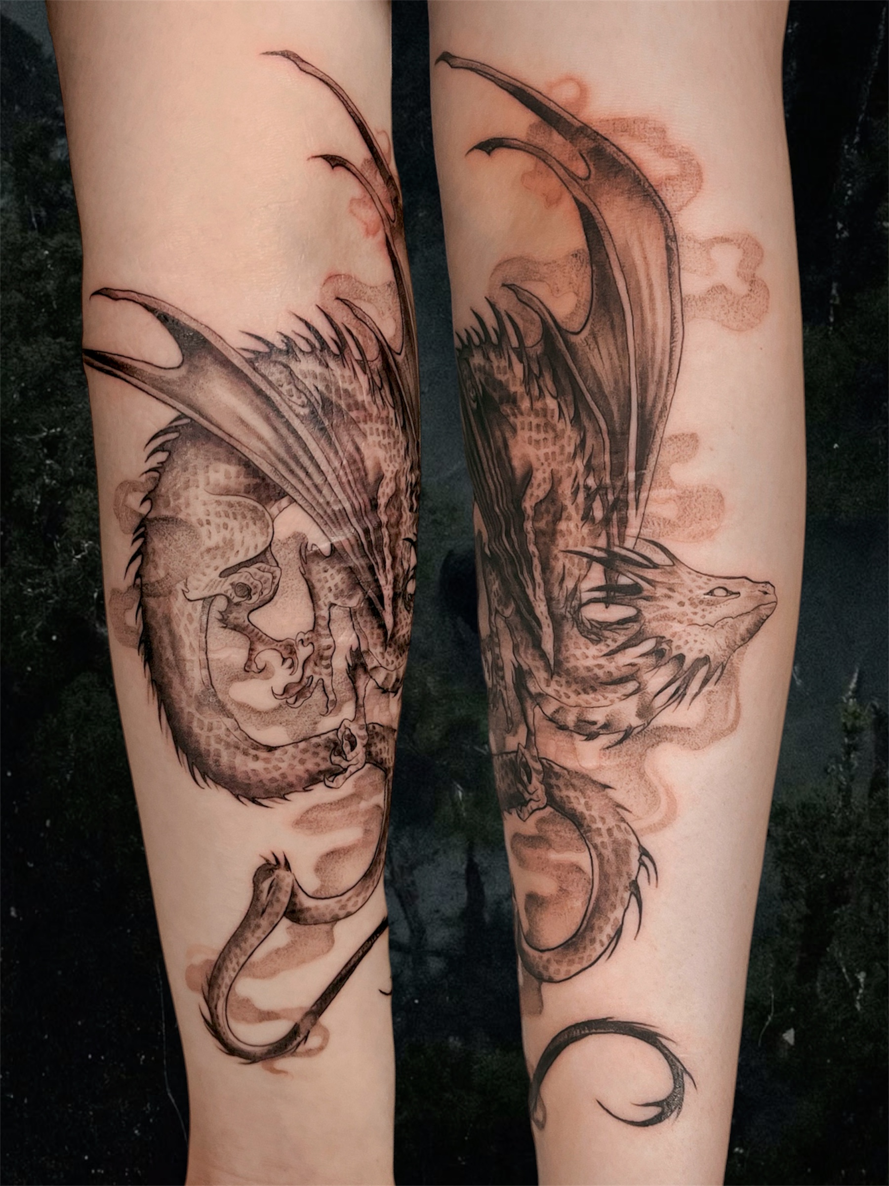 Arpien cover up lohikäärme